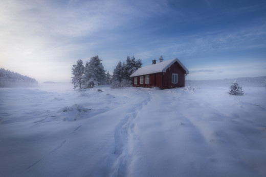 1011787 (a): :2048x1365
